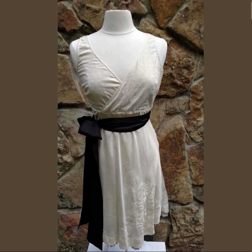 Anthropologie Viola Dress 2 Embroidered Ivory